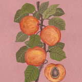 Canvas Peaches