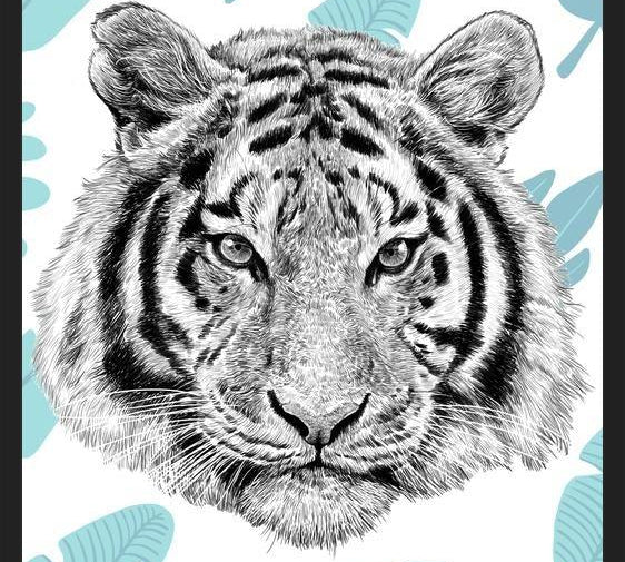 Cuadro Tropical Tiger