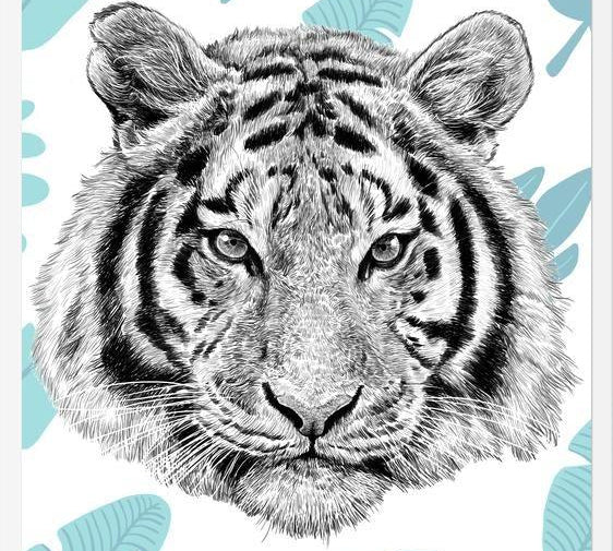 Cuadro Tropical Tiger