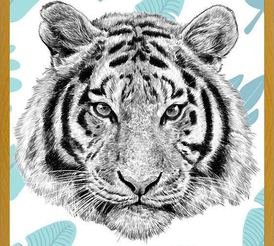 Cuadro Tropical Tiger