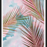 Cuadro Palms + Sky
