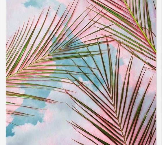 Cuadro Palms + Sky