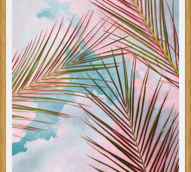 Cuadro Palms + Sky