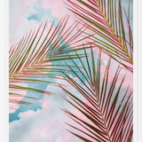 Cuadro Palms + Sky