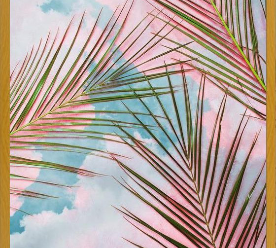 Cuadro Palms + Sky