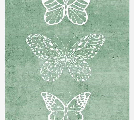 Cuadro Mariposas