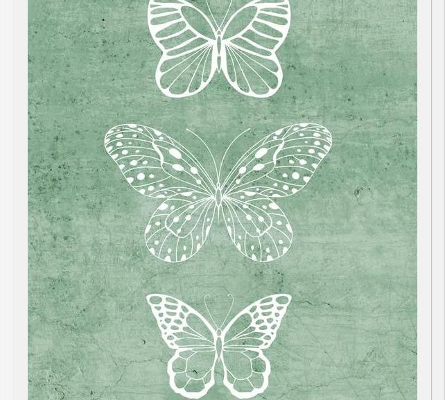 Cuadro Mariposas