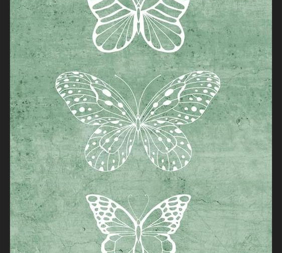 Cuadro Mariposas