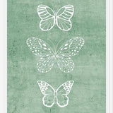 Cuadro Mariposas