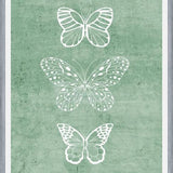 Cuadro Mariposas