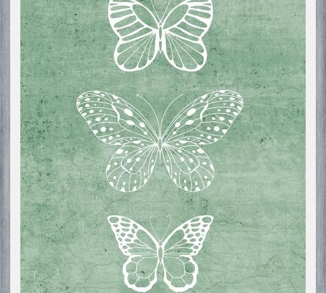 Cuadro Mariposas