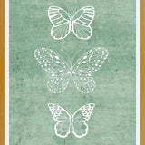 Cuadro Mariposas