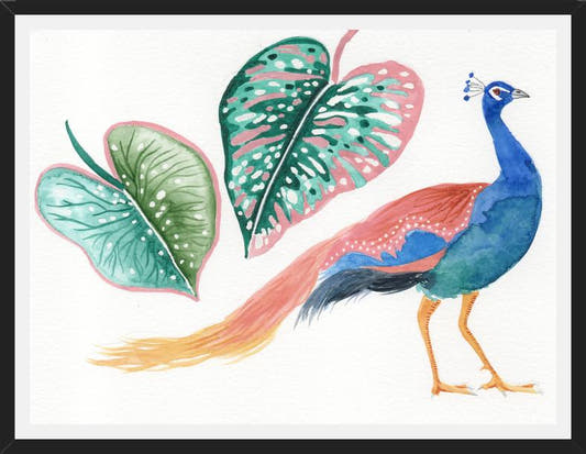 Cuadro Pavo real