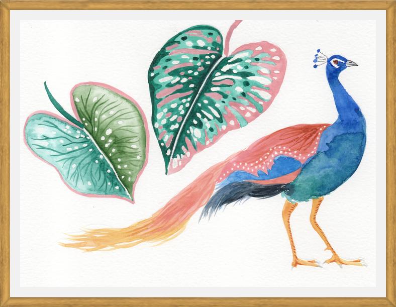 Cuadro Pavo real