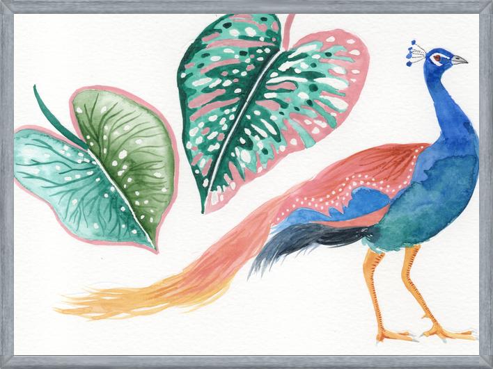 Cuadro Pavo real