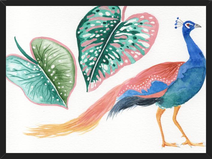 Cuadro Pavo real