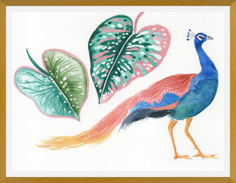 Cuadro Pavo real
