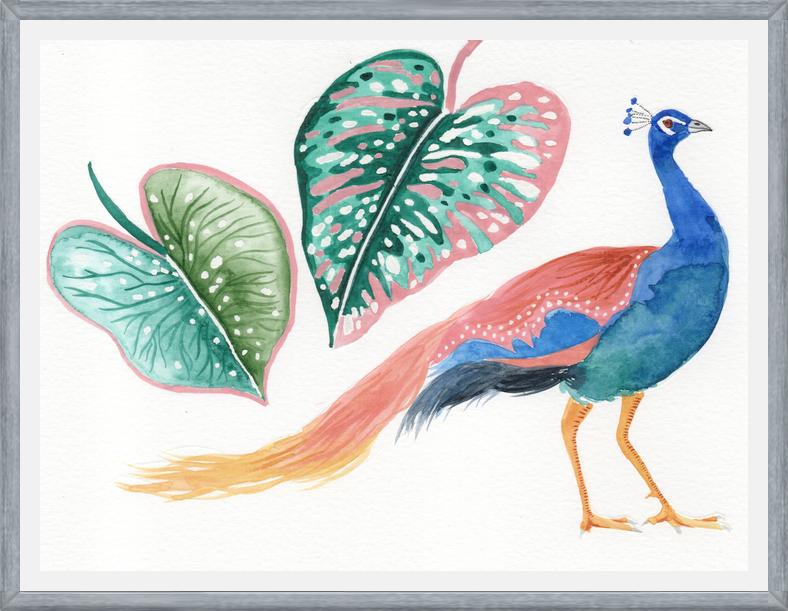 Cuadro Pavo real