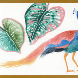 Cuadro Pavo real