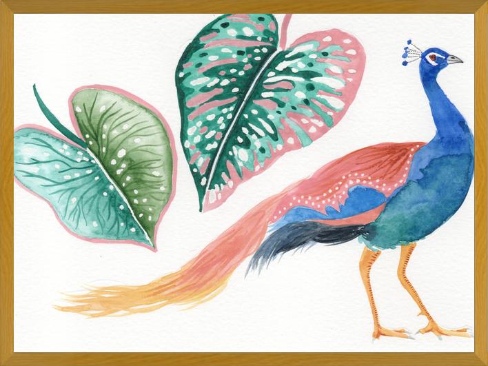 Cuadro Pavo real