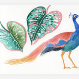 Cuadro Pavo real