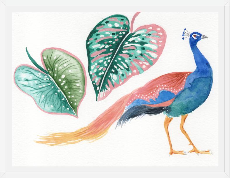 Cuadro Pavo real