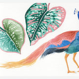 Cuadro Pavo real