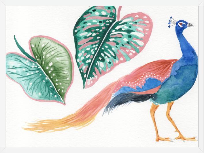 Cuadro Pavo real