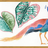 Cuadro Pavo real