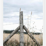 Cuadro notion #2