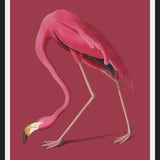Cuadro Pink Flamingo
