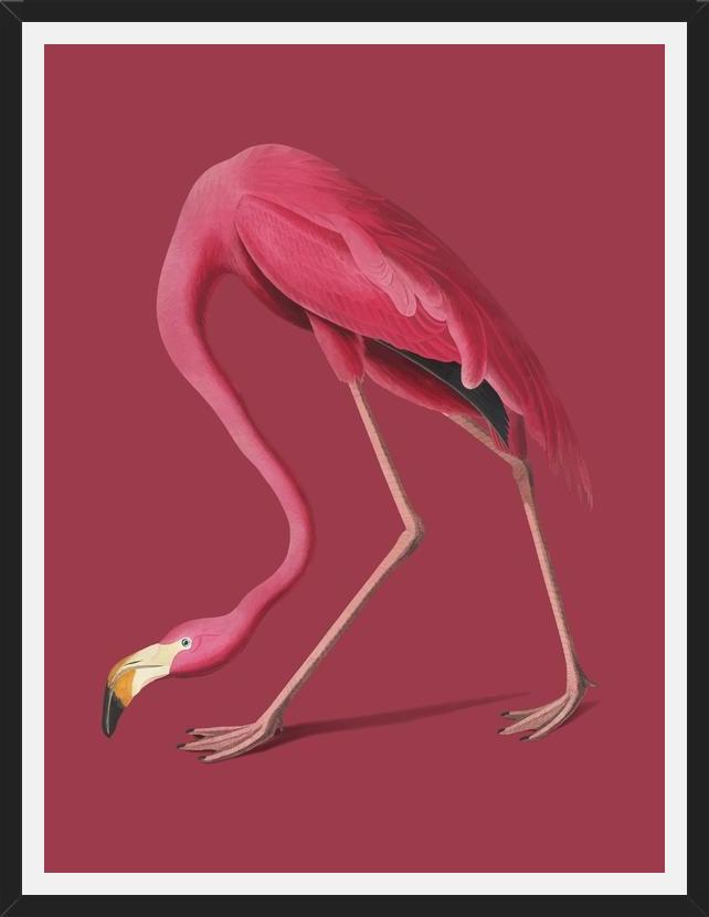 Cuadro Pink Flamingo