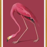 Cuadro Pink Flamingo