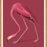 Cuadro Pink Flamingo