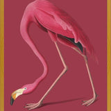 Cuadro Pink Flamingo