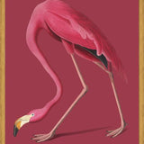 Cuadro Pink Flamingo