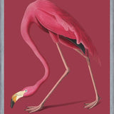 Cuadro Pink Flamingo