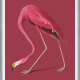 Cuadro Pink Flamingo