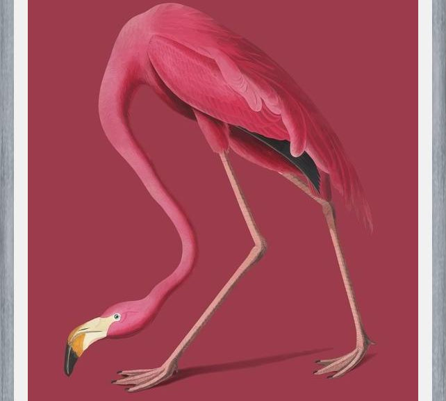 Cuadro Pink Flamingo