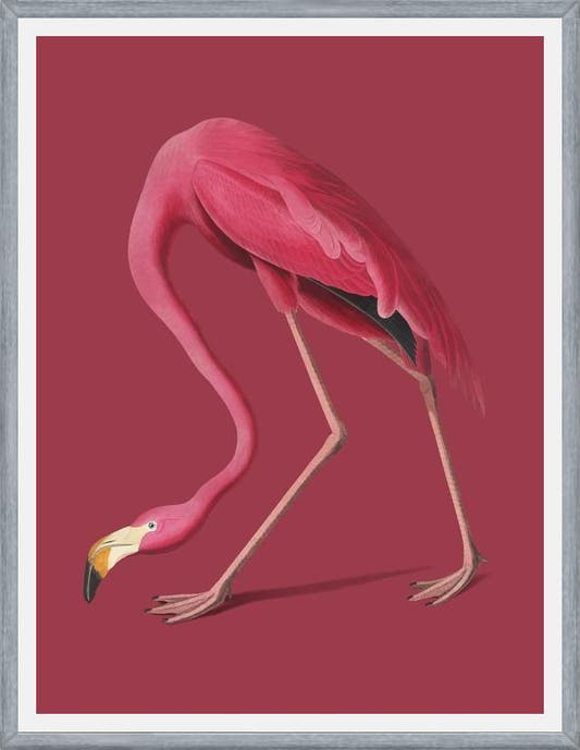Cuadro Pink Flamingo