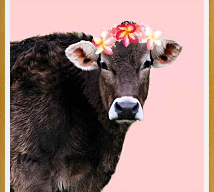 Cuadro Aloha Cow I