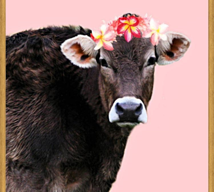 Cuadro Aloha Cow I