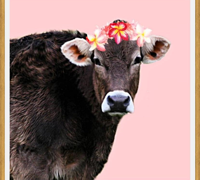 Cuadro Aloha Cow I