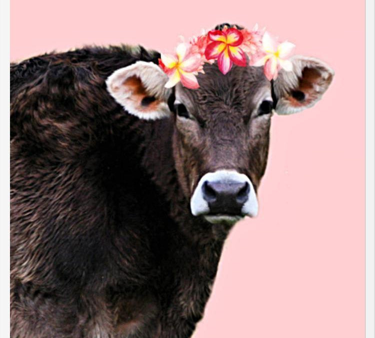 Cuadro Aloha Cow I
