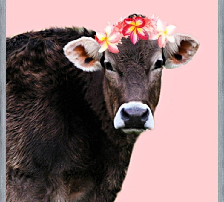 Cuadro Aloha Cow I