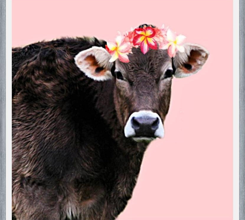 Cuadro Aloha Cow I