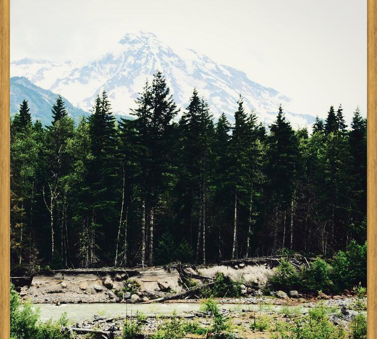 Cuadro Mountain River