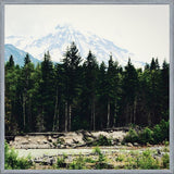 Cuadro Mountain River