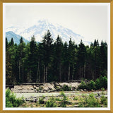 Cuadro Mountain River