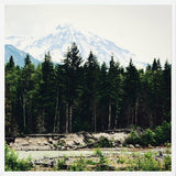 Cuadro Mountain River